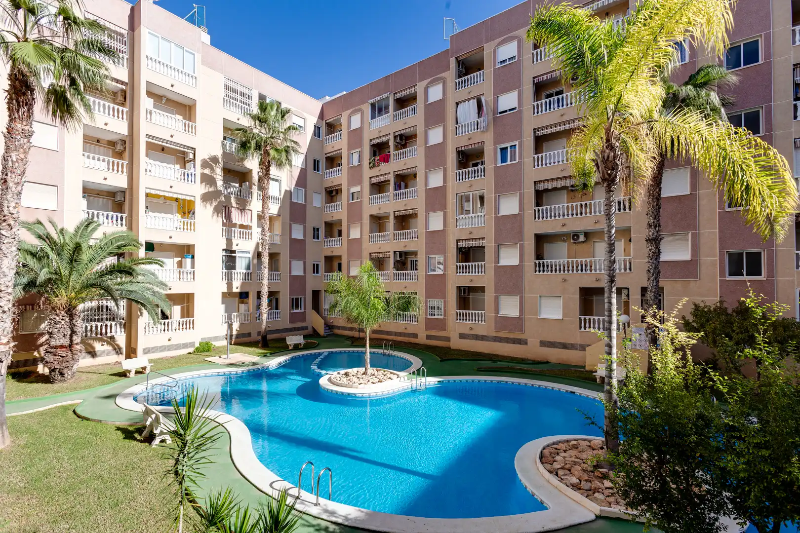 Piscina de Estudio en venta en Torrevieja con Terraza, Amueblado y Piscina comunitaria