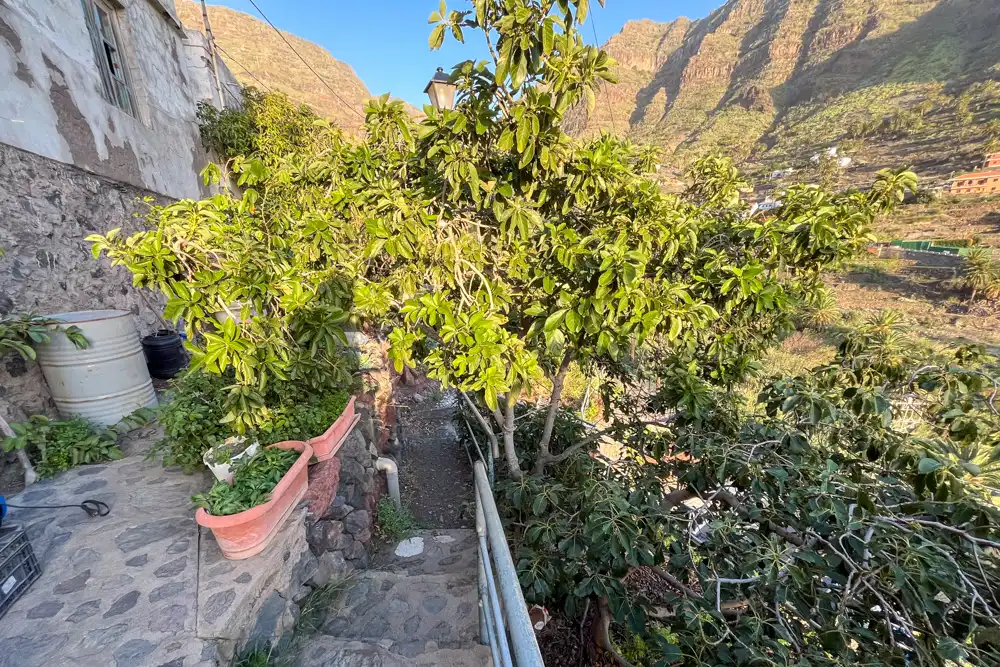 Vista exterior de Casa o chalet en venta en Valle Gran Rey