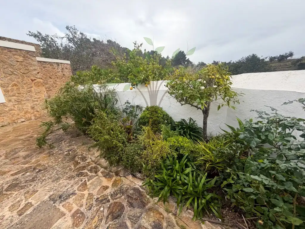 Garden of Houses for rent in Sant Joan de Labritja  with Swimming Pool