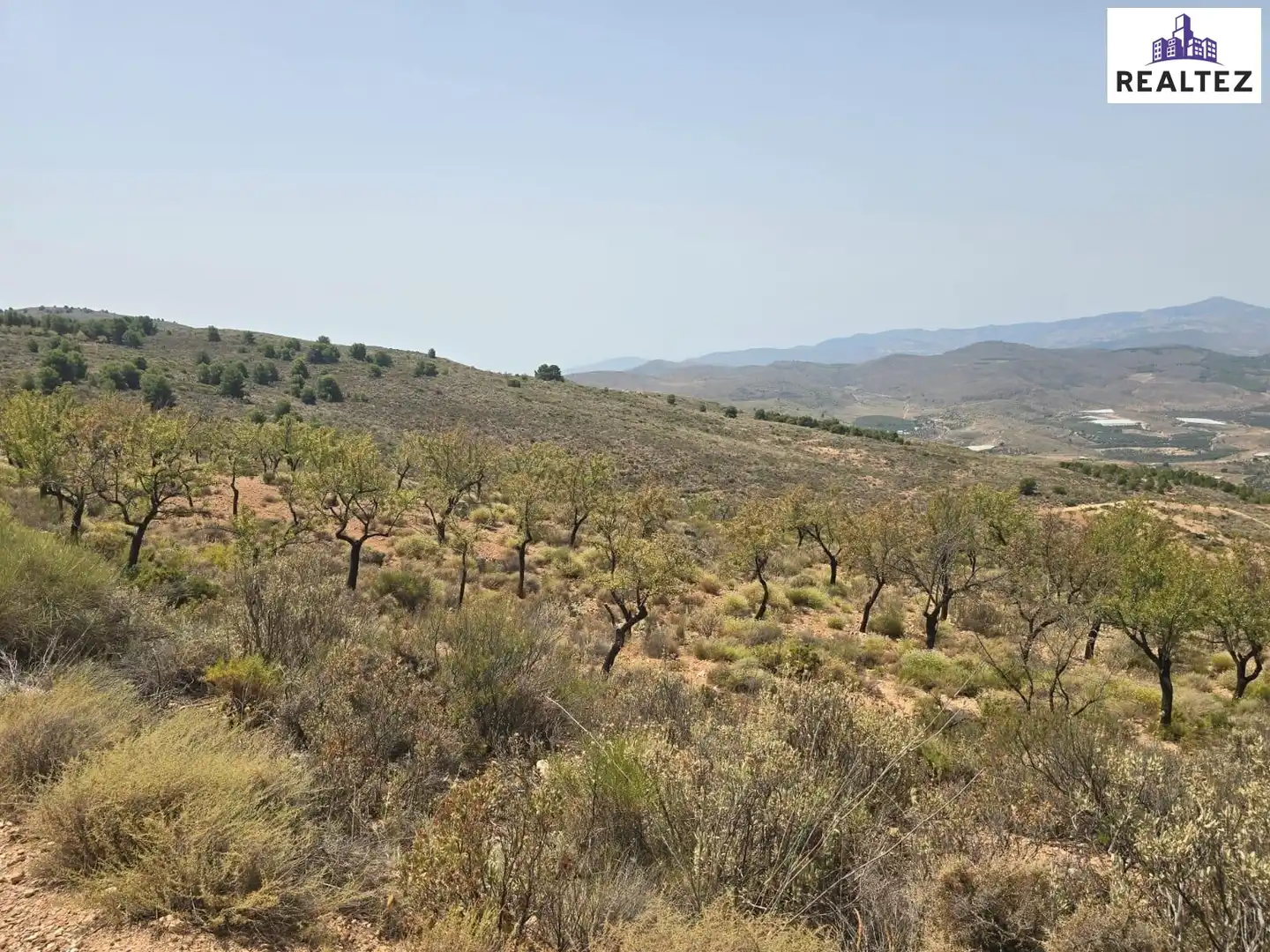 Terrain rustique à vendre à Alcolea, imagen 3