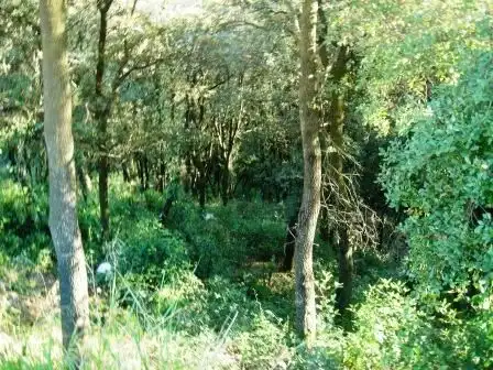 Terrenys i solars en venda a Gualba, imagen 3