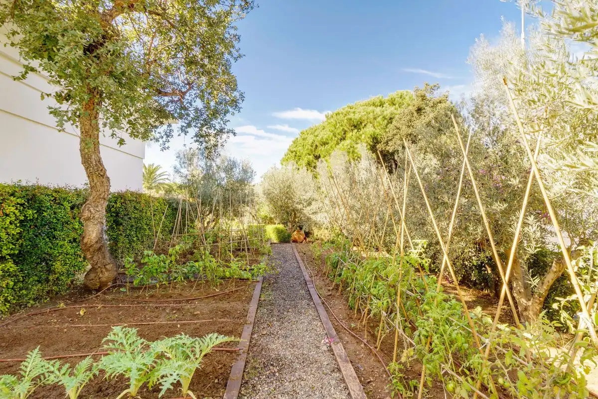 Jardí de Casa o xalet de lloguer en Marbella amb Aire condicionat, Jardí privat i Traster