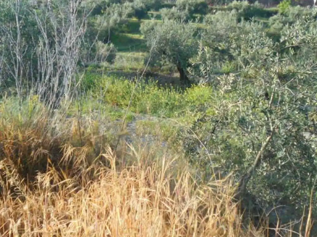 Terreno en venta en Fuente-Tójar