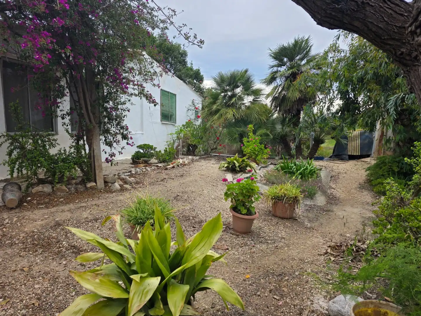 Jardín de Terreno en venta en Amposta