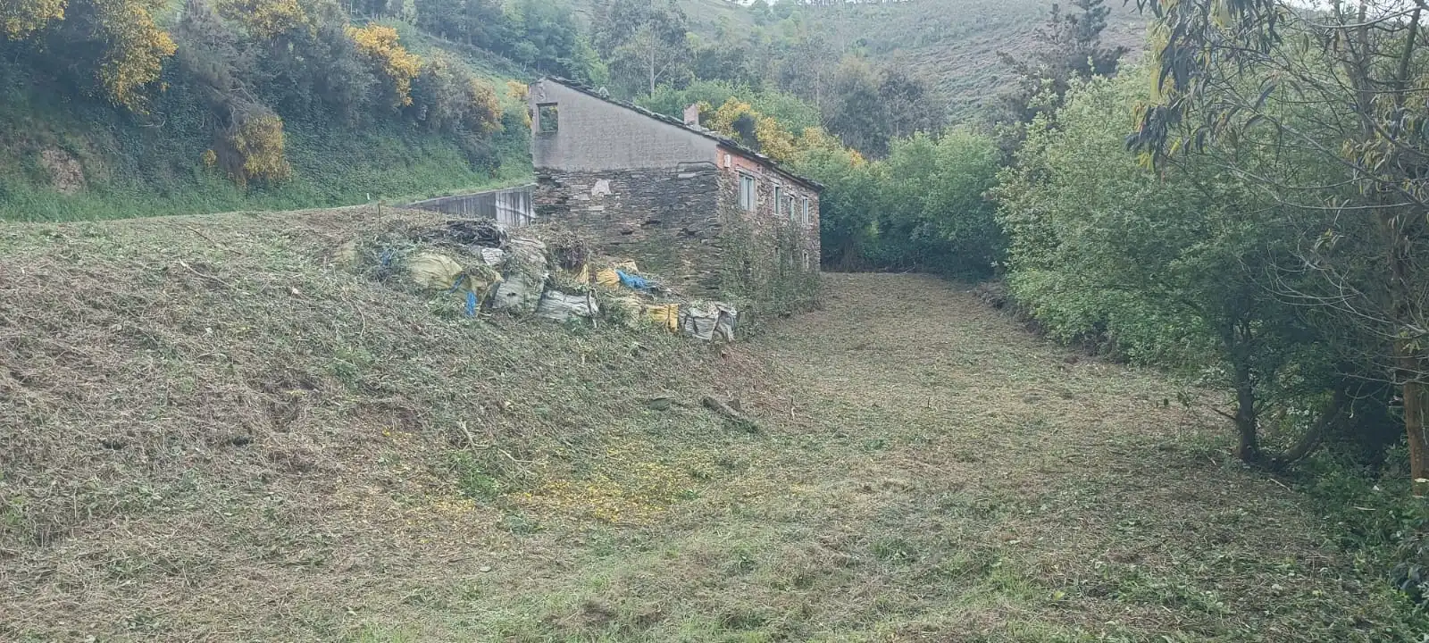 Finca rústica en venta en Vegadeo