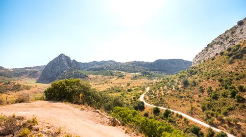 ¿Sueñas con tener un espacio de retiro? ¿Tu propio oasis de tranquilidad? ¿Buscas un lugar para compartir y disfrutar de reuniones, imagen 3