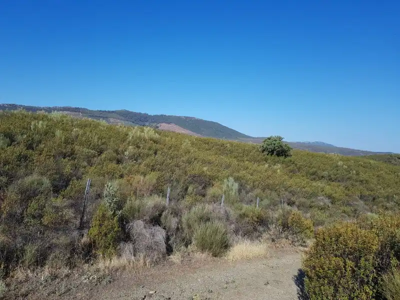 Terreno en venta en Fresnedoso de Ibor