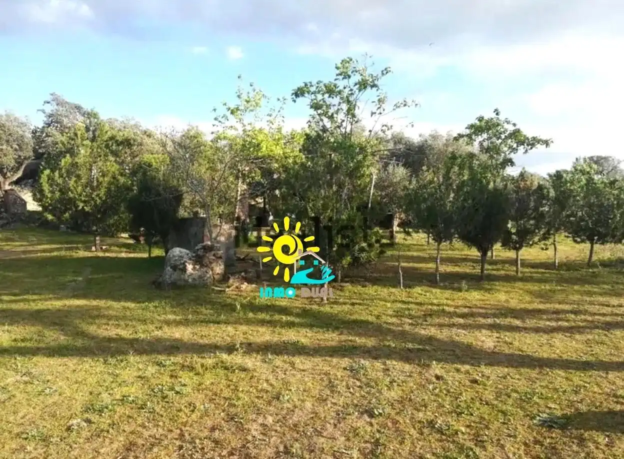 Land for sale in Villar del Rey