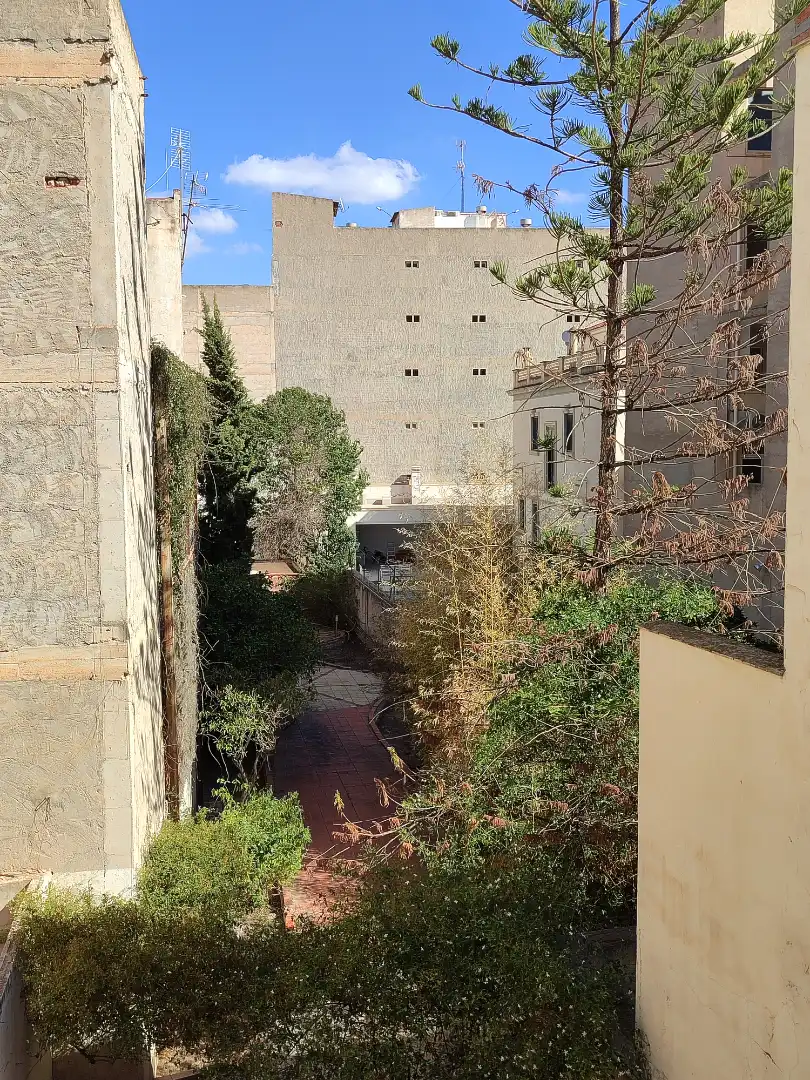 Exterior view of Buildings for sale in Aspe  with Community pool