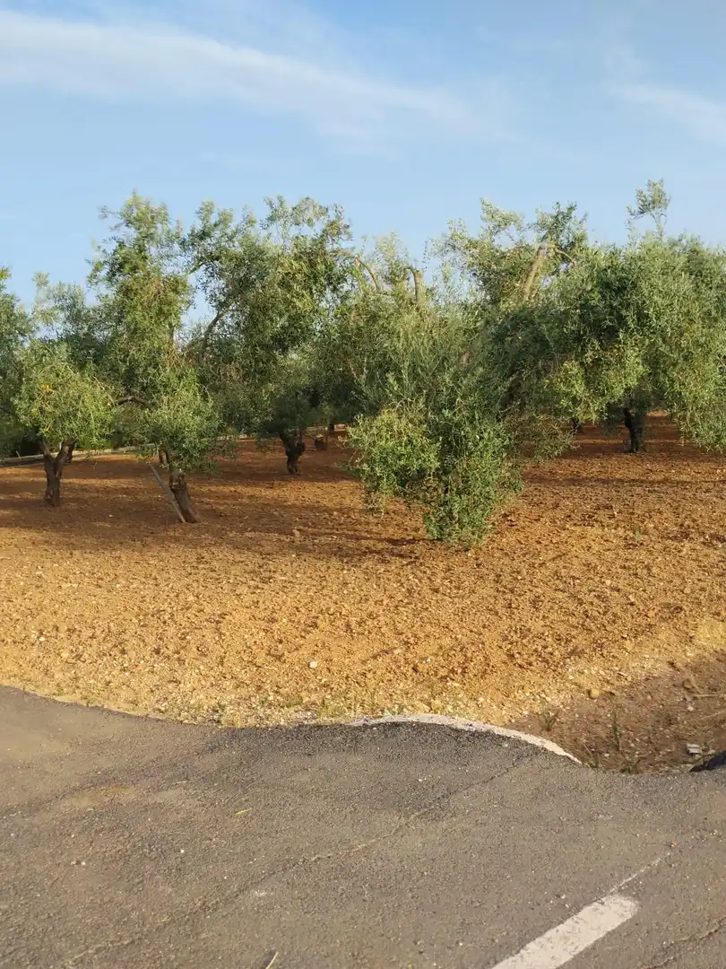 Finca rústica en venda en La Carlota amb Piscina