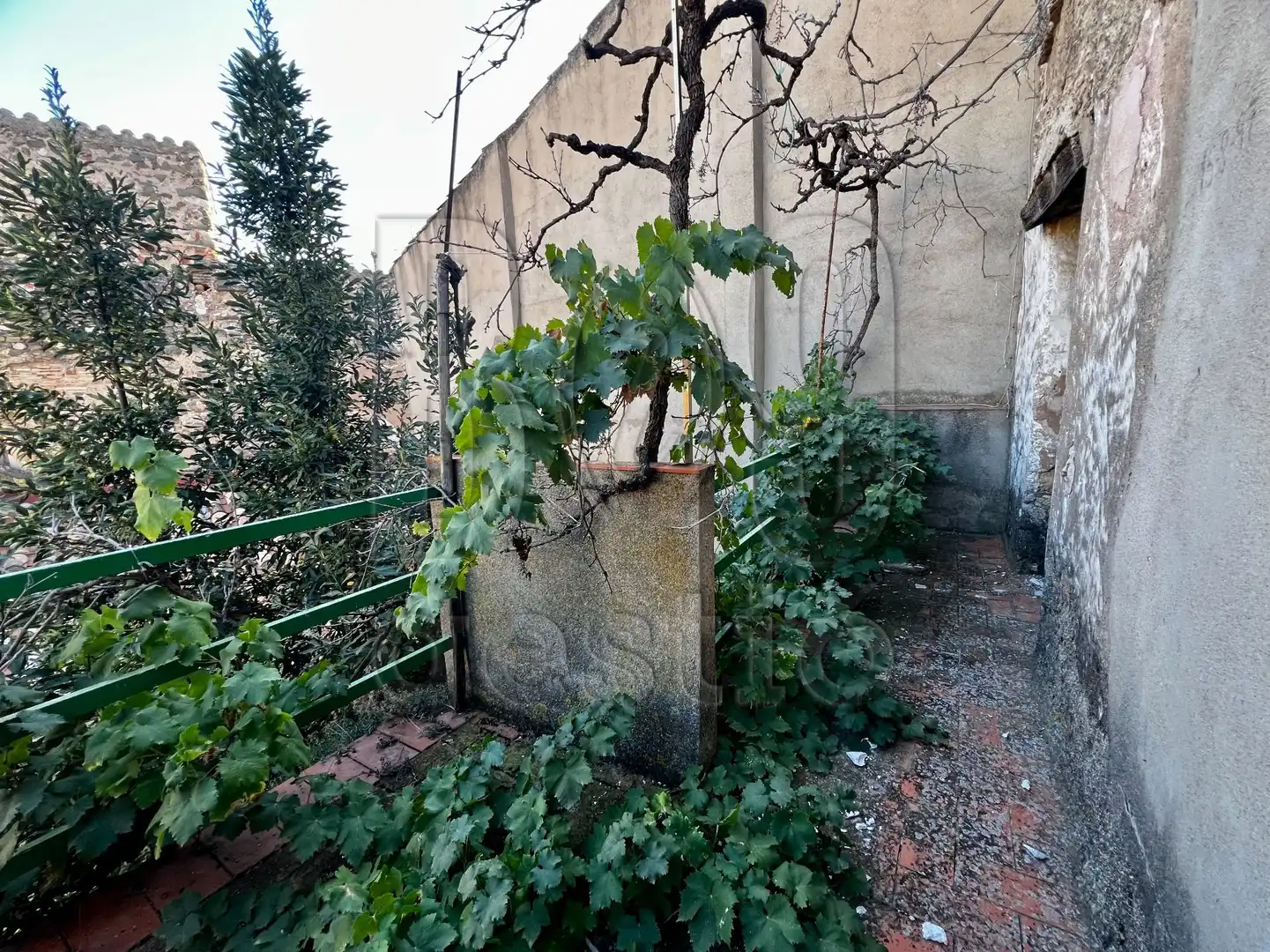 Jardí de Finca rústica en venda en Poboleda amb Terrassa