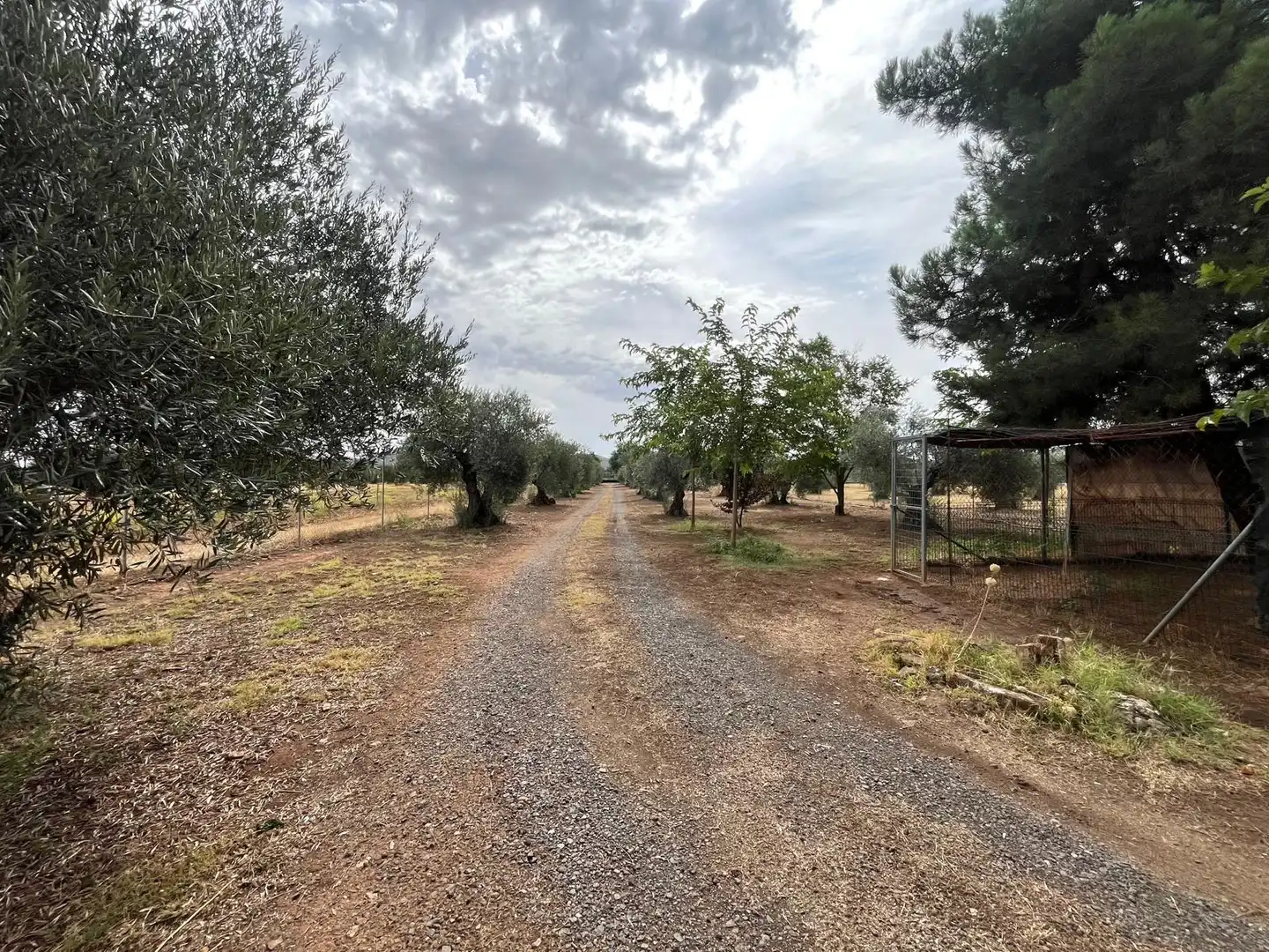 Xalet amb terrassa en venda a Carretera Badajoz, imagen 44