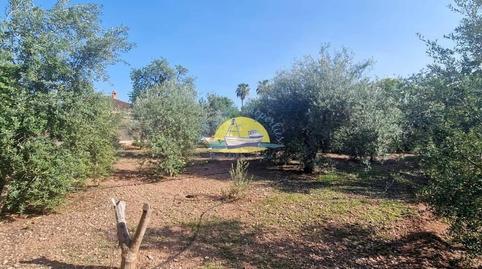 Photo 3 of House or chalet for sale in Totana, Murcia