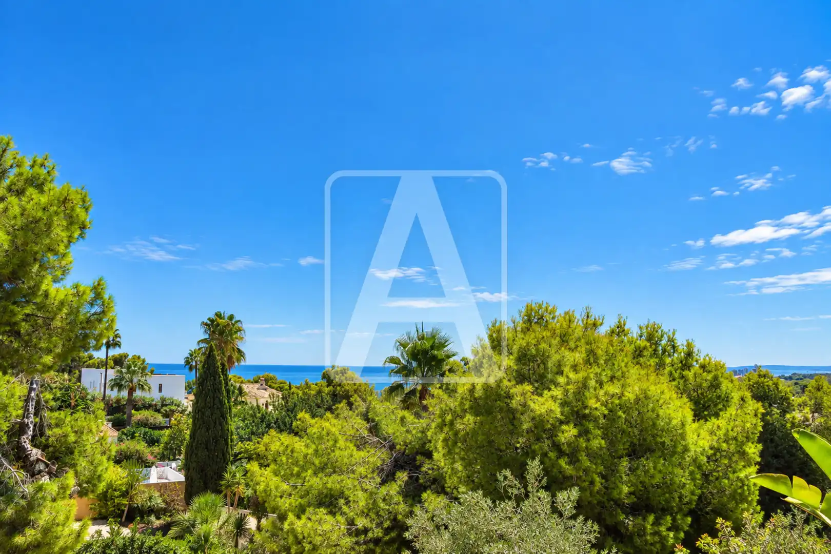 Jardín de Casa o chalet en venta en Cala Advocat - Baladrar  