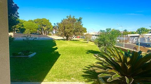 Foto 5 de Apartamento en venta en N/a, -1, Campoamor, Orihuela