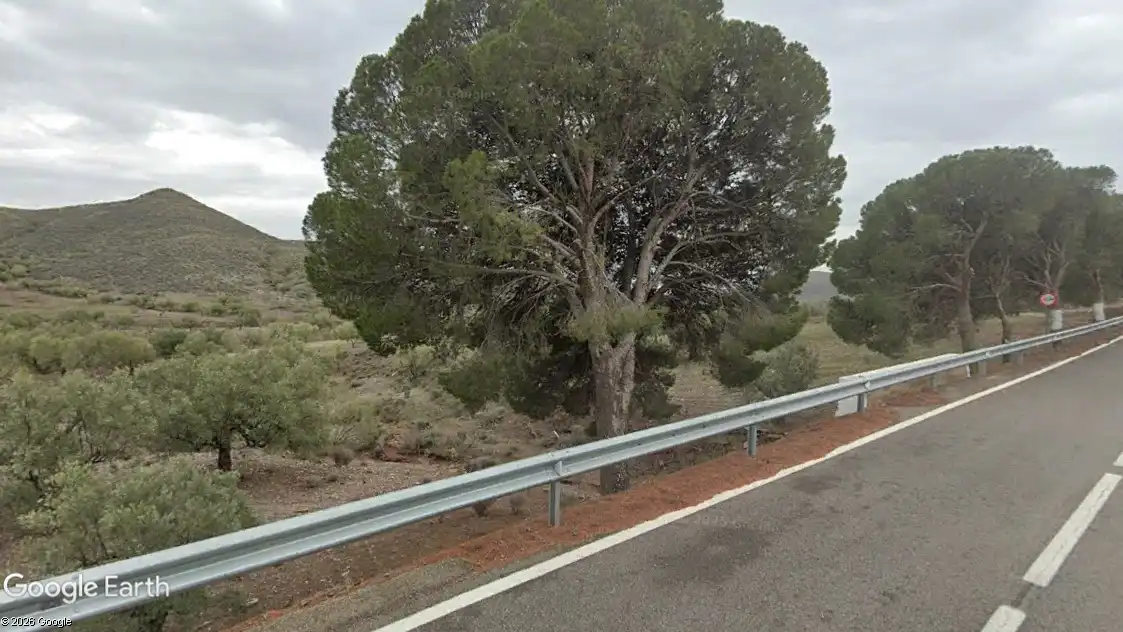 Terreno rustico in vendita a Alboloduy, imagen 6