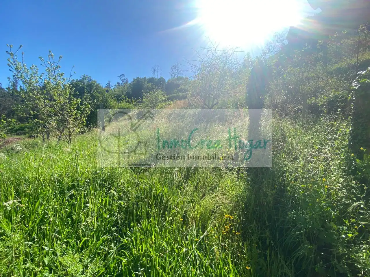 House with garden for sale in Salceda de Caselas, imagen 19
