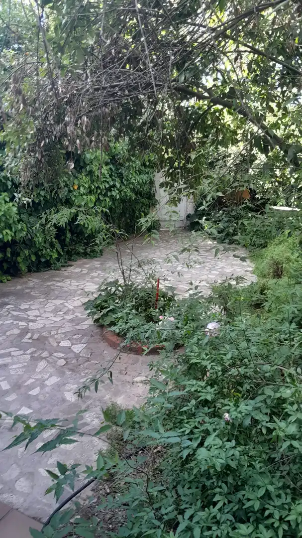 Maison mitoyenne avec jardin à vendre à Cájar, imagen 3
