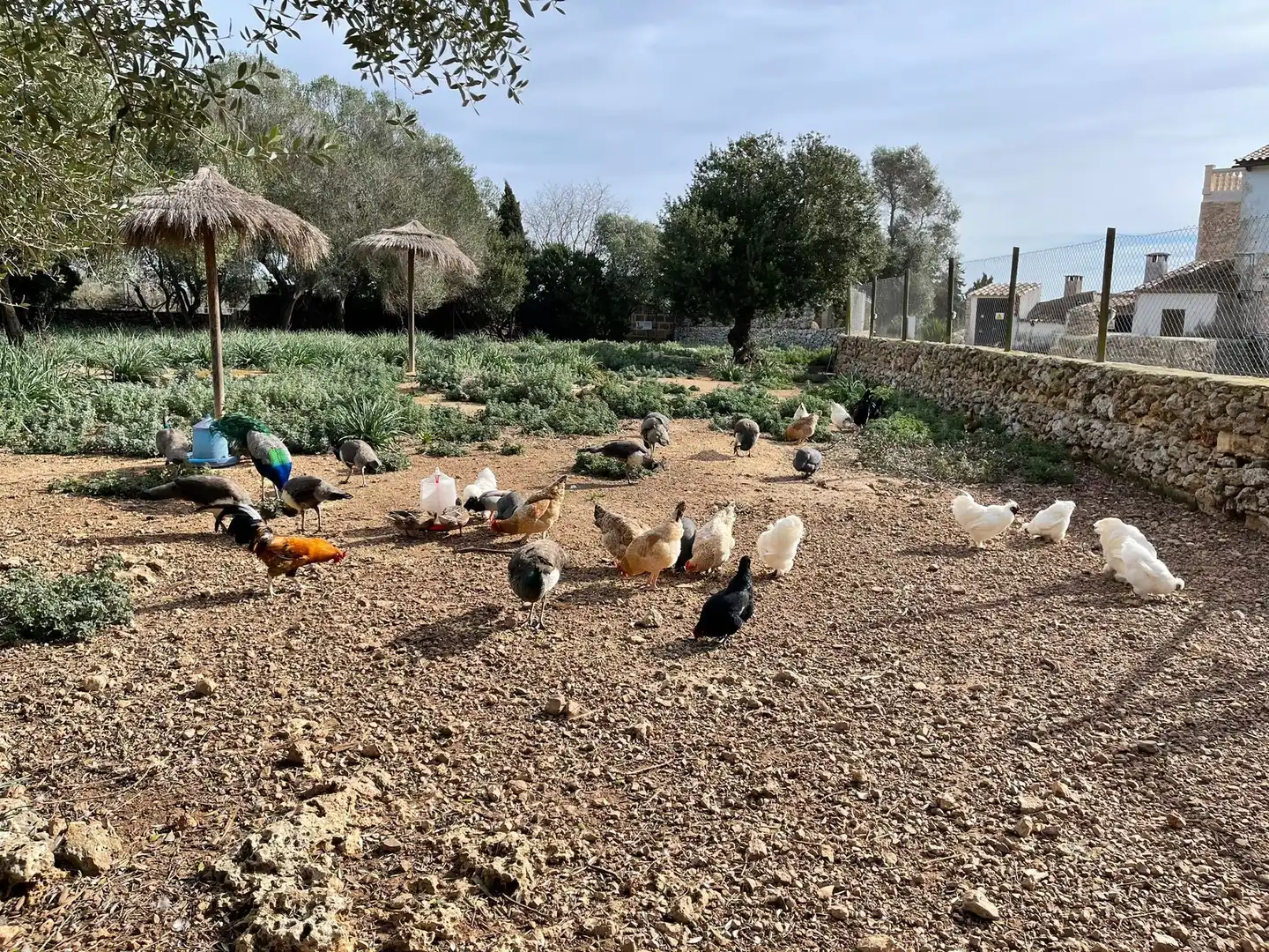 Finca rústica en venda a Lloret de Vistalegre