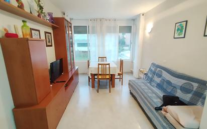 Sala d'estar de Apartament en venda en Amposta amb Aire condicionat