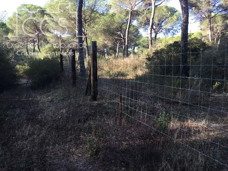 Terreni e lotti in vendita a Almonte ciudad, imagen 4