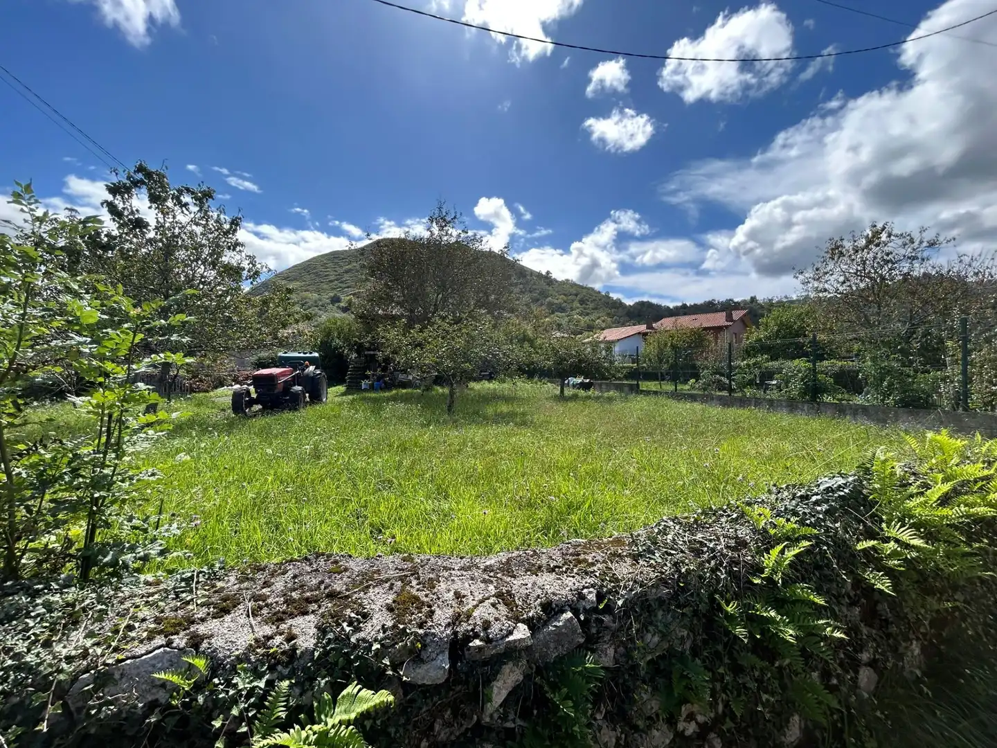 FINCA EDIFICABLE CON HORREO, imatge 2
