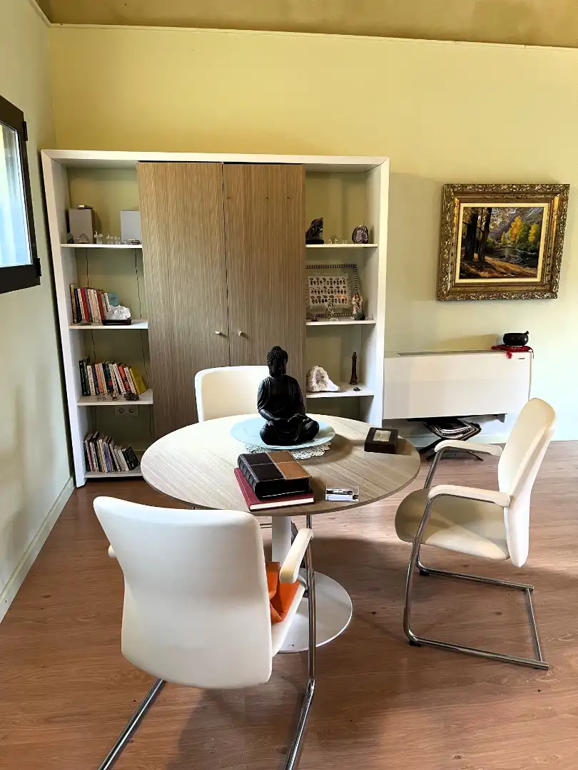 Sala d'estar de Finca rústica en venda en Mieres (Girona) amb Calefacció, Parquet i Terrassa