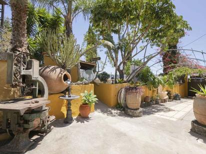 Jardí de Casa o xalet en venda en Güímar amb Aire condicionat, Terrassa i Traster