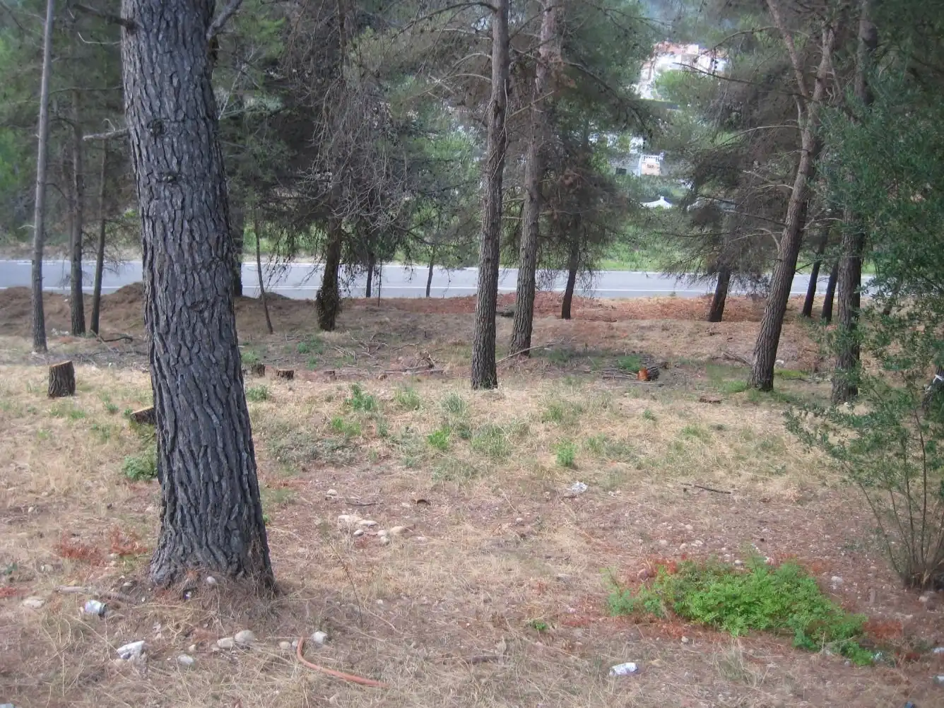 Terrenys i solars en venda a Tordera, imagen 10