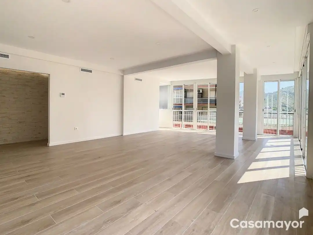 Appartamento con terrazza in affitto a Calle Canónigo Manuel Penalva, imagen 38