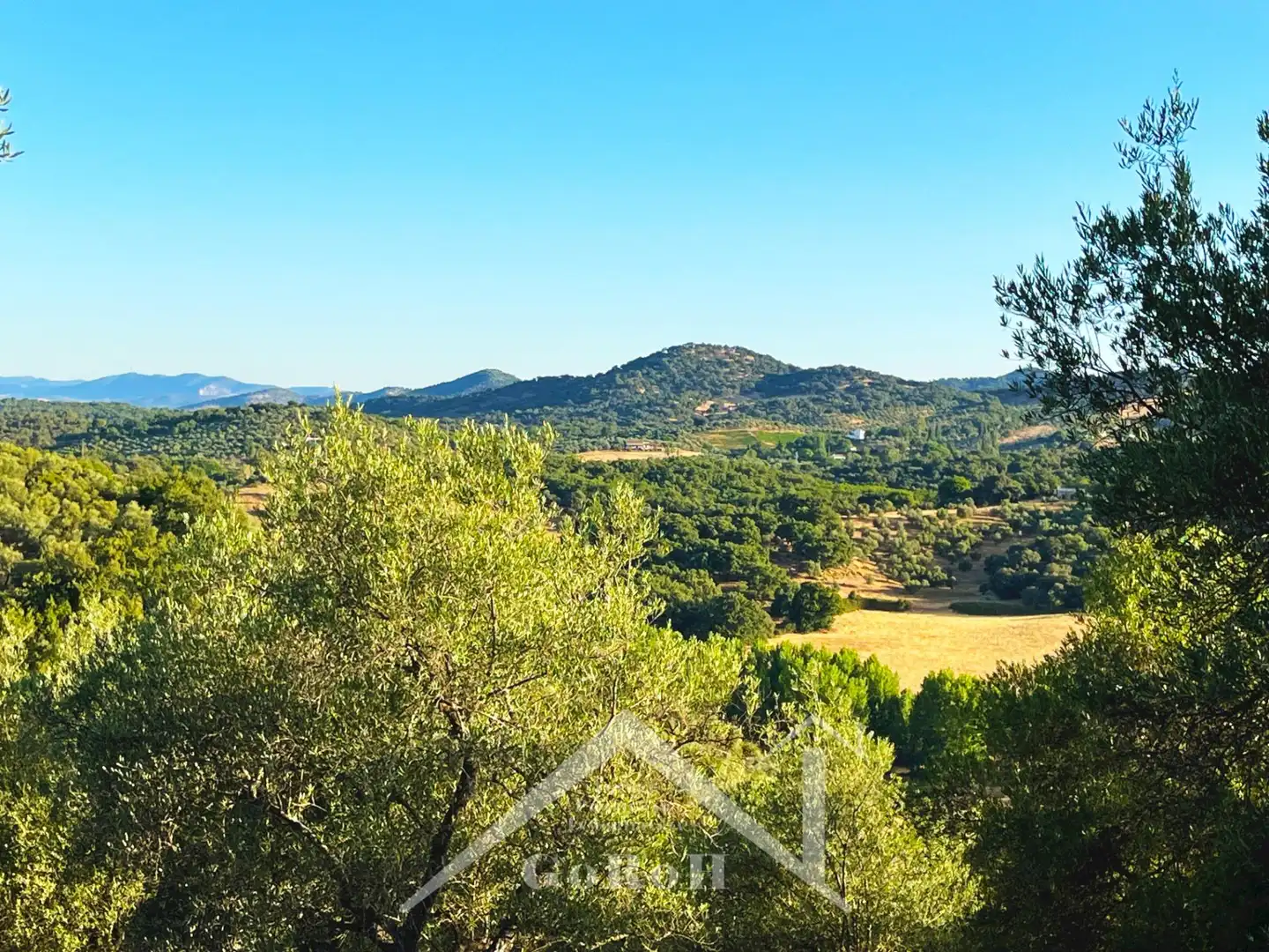 Land for sale in Constantina