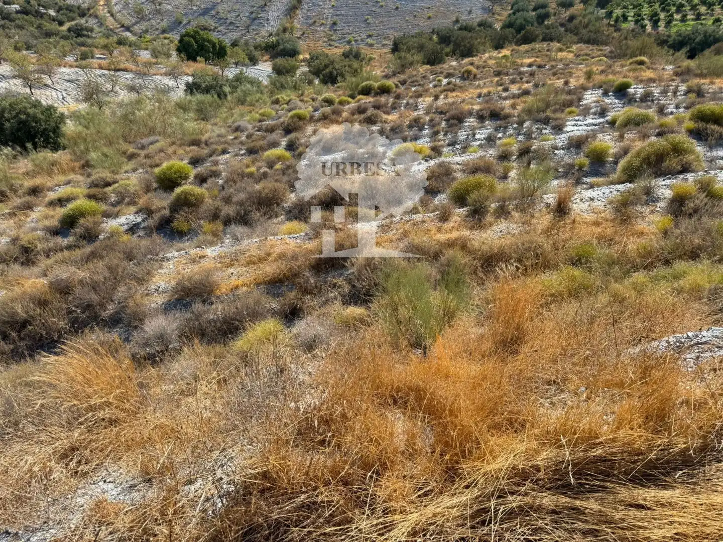 Grundstücke zum Verkauf in Vélez de Benaudalla