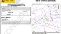 Land for sale in Teror