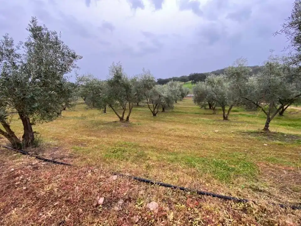 Casa o xalet en venda en La Granjuela amb Calefacció, Jardí privat i Traster