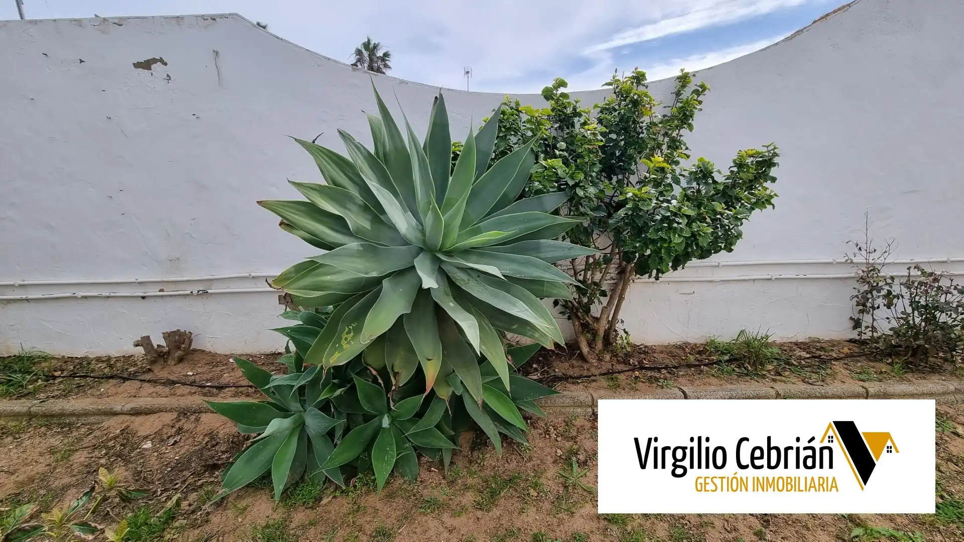 Casa o xalet en venda en Chipiona amb Aire condicionat, Jardí privat i Terrassa