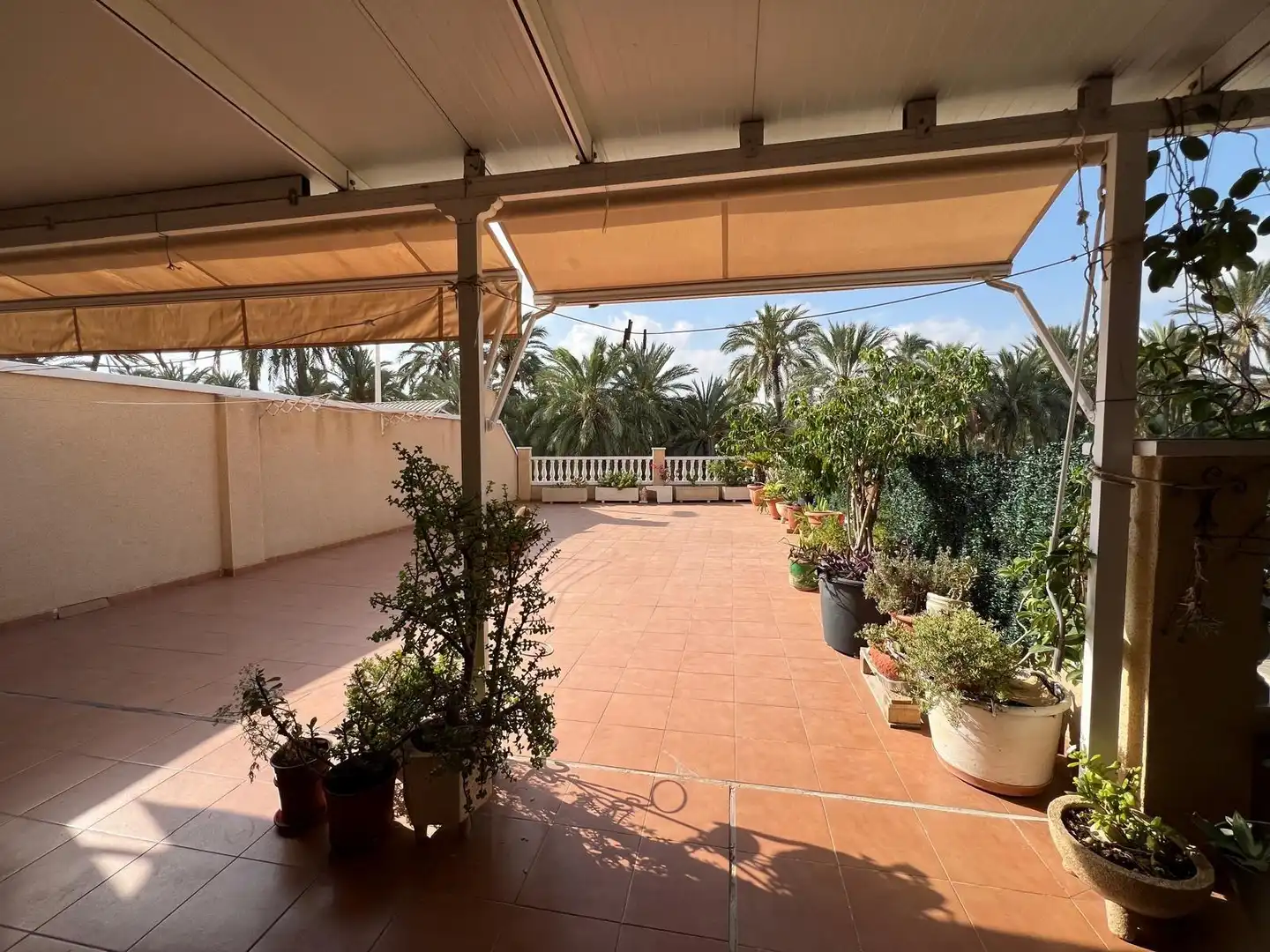 Terrace of Flat for sale in Elche / Elx  with Terrace