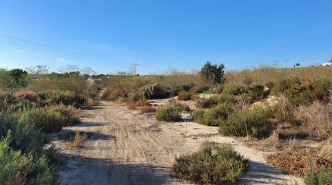 Foto 5 de Residencial en venda a Pla de la Vallonga, Alicante / Alacant