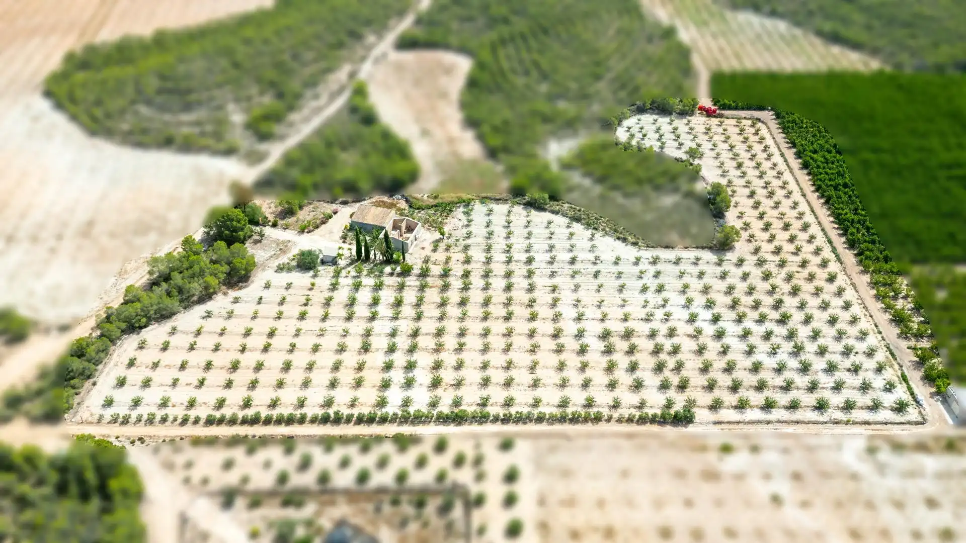 Casa o xalet en venda en Cieza