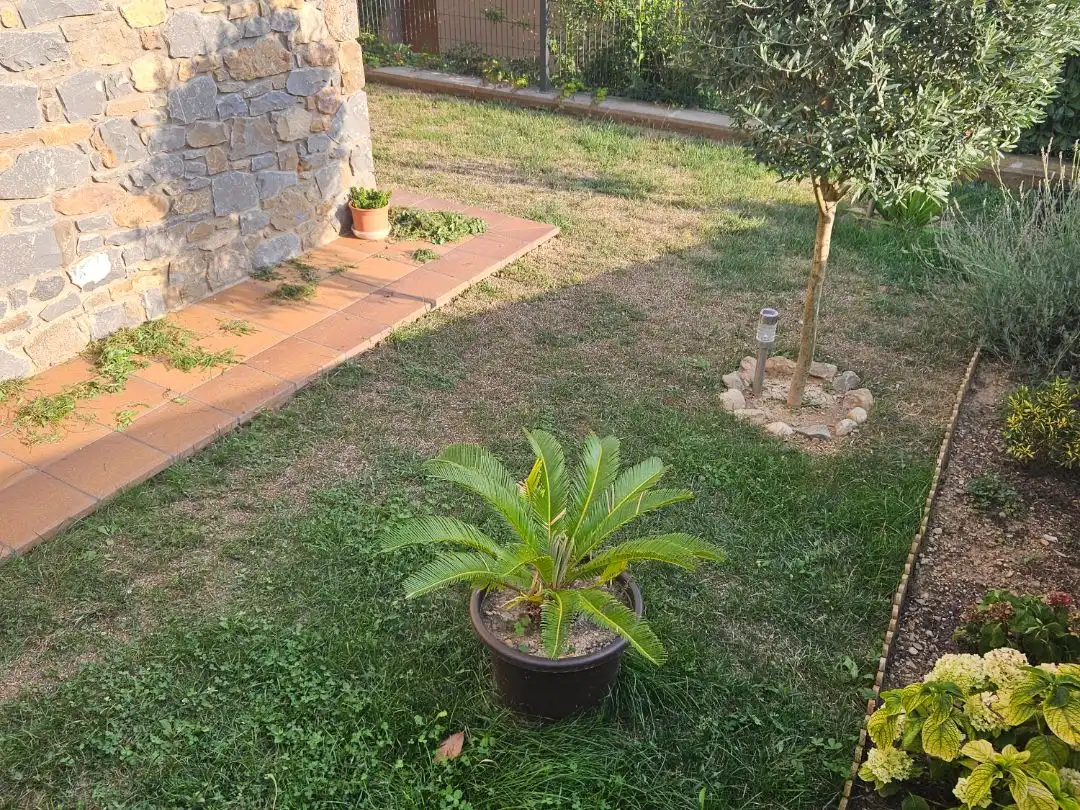 Jardín de Casa o chalet en venta en Vallfogona de Ripollès con Terraza