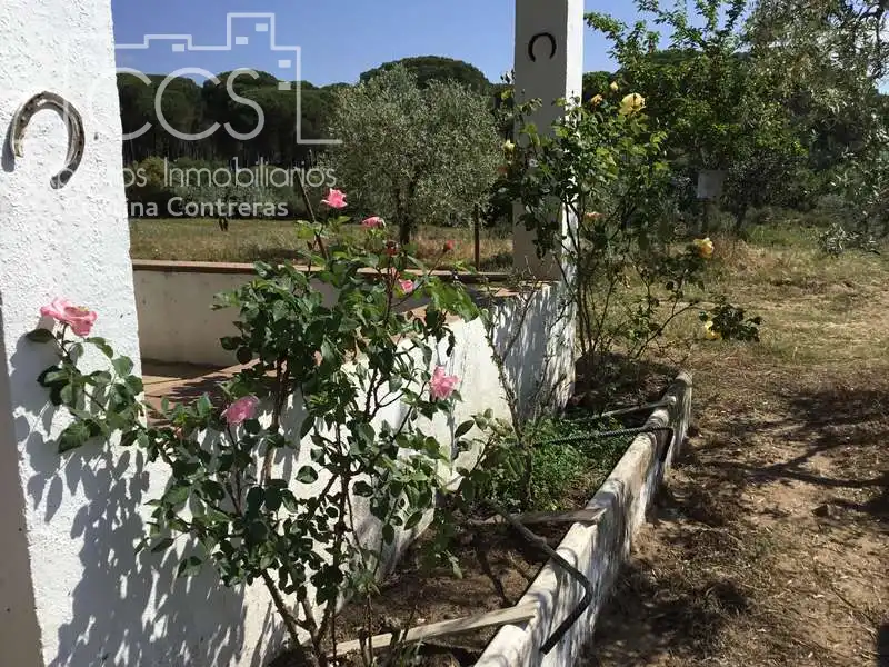 Jardí de Finca rústica en venda en Almonte amb Terrassa i Moblat