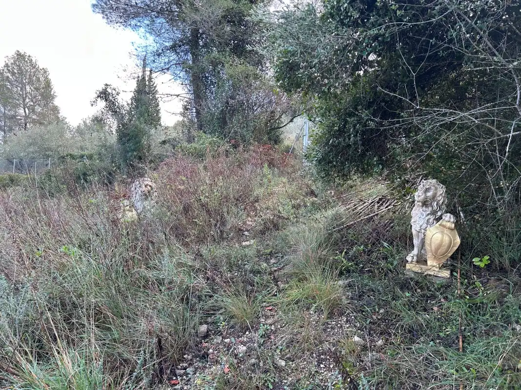 Rural land for sale in Partida Tancaes, imagen 12