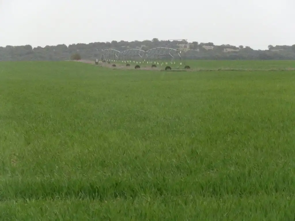 Terreno rustico in vendita a Centro - Plaza Mayor, imagen 8