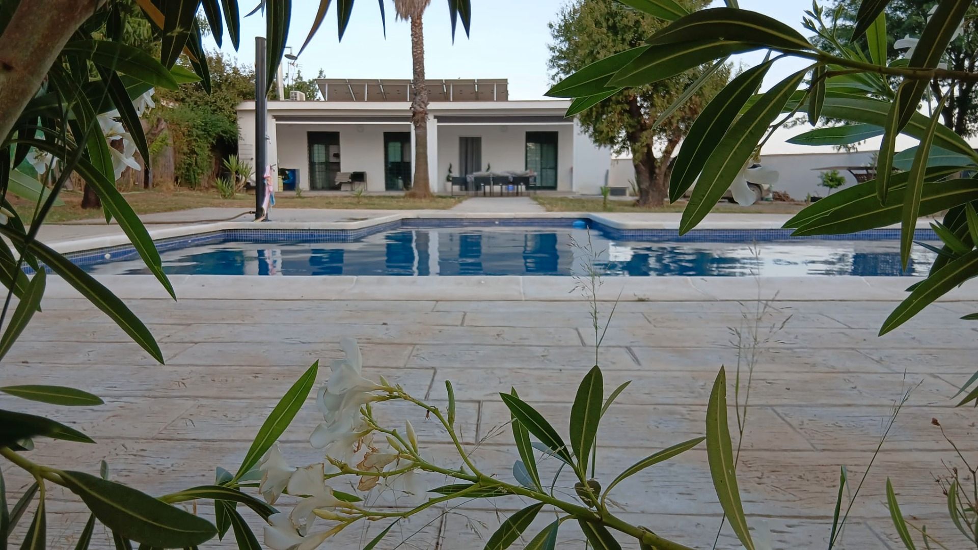 Piscina de Casa o chalet en venta en Utrera con Aire acondicionado y Piscina
