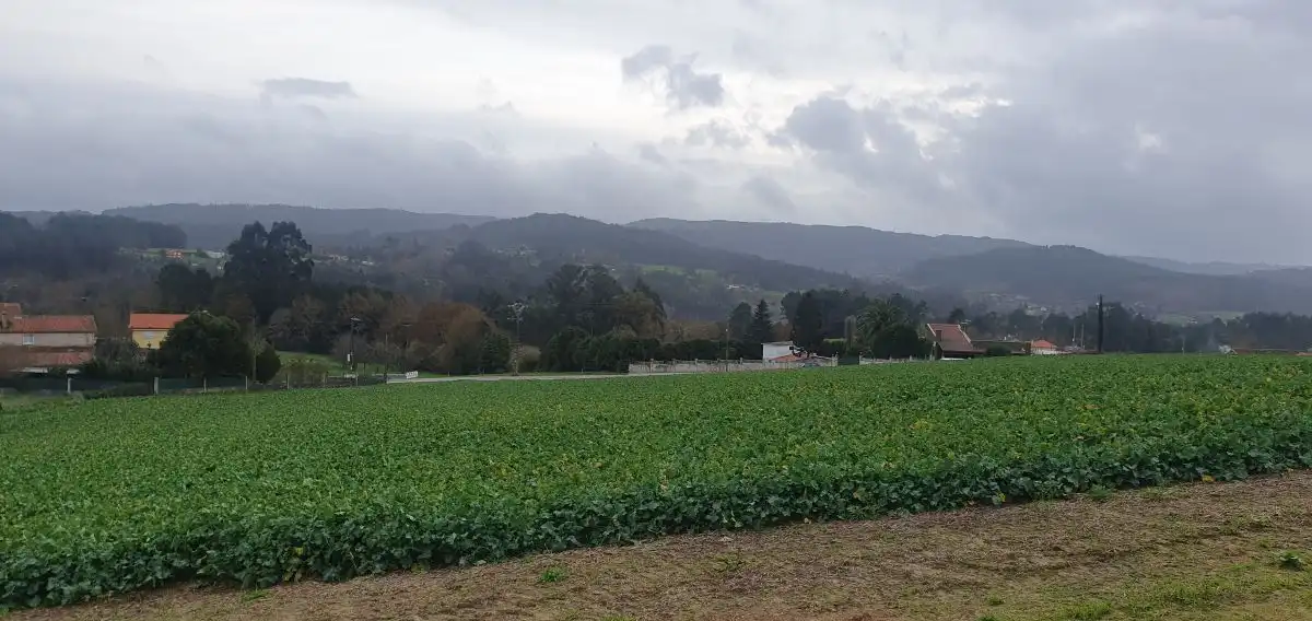 Wohnbaugrundstück zum Verkauf in Carral, imagen 5