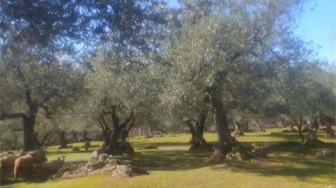Foto 2 de Finca rústica en venda a Zufre, Huelva