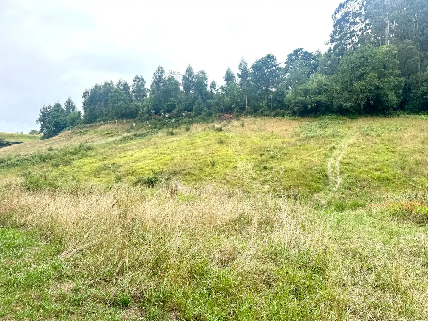 Terreno en venta en Villaviciosa