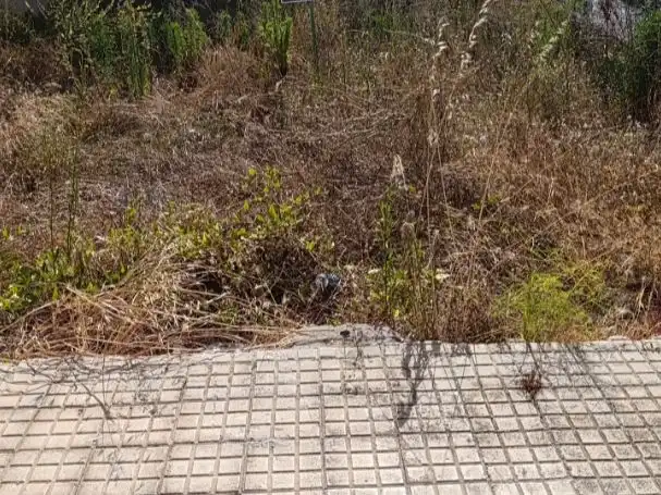 Terreno residencial en venta en Carrer de Juli Castell 4, imagen 2