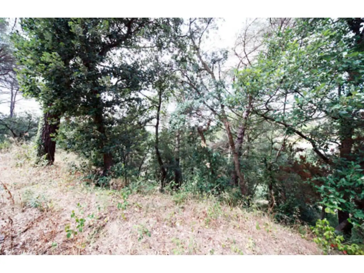 Rural land for sale in Junta de la Compensación