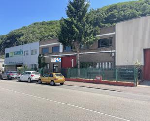 Vista exterior de Nau industrial en venda en Mieres (Asturias)