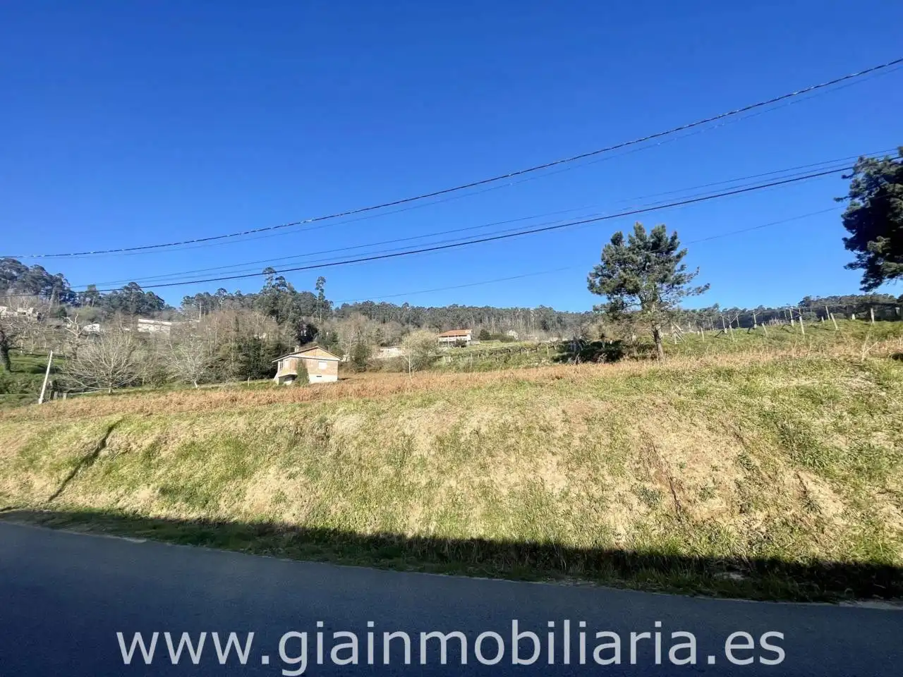 Terreny rústic en venda a Calle Cela, imagen 3